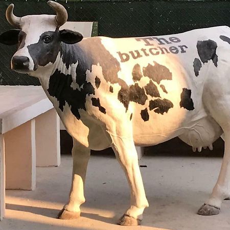 The Butcher-Ducati And Airport Blq Lejlighed Bologna Eksteriør billede